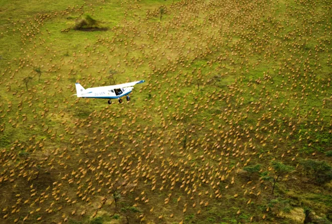 An airplane surveys the wildlife on the ground in Boma Bandingilo South Sudan