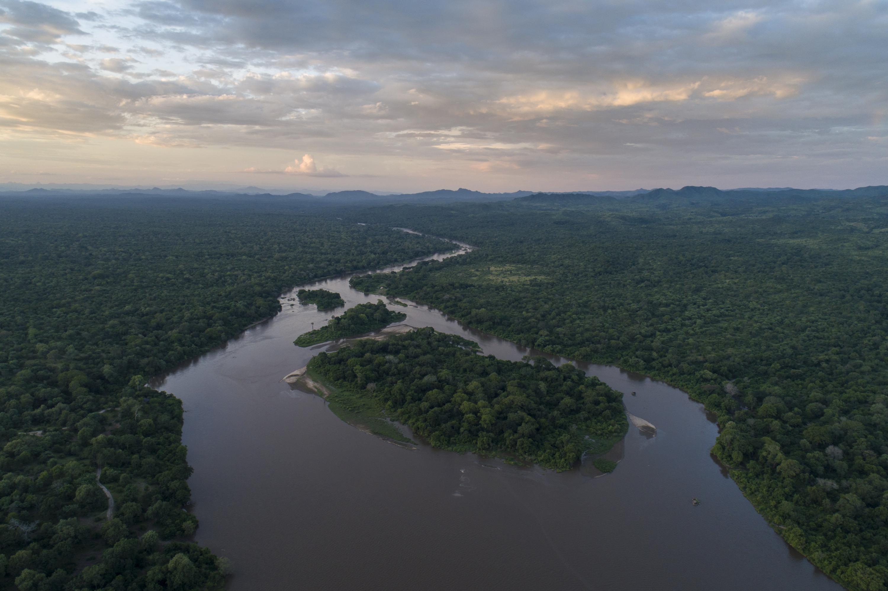 John Scanlon, Former Secretary-General of CITES, Joins African Parks as ...